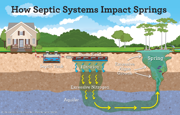 How Septic Systems Impact Springs