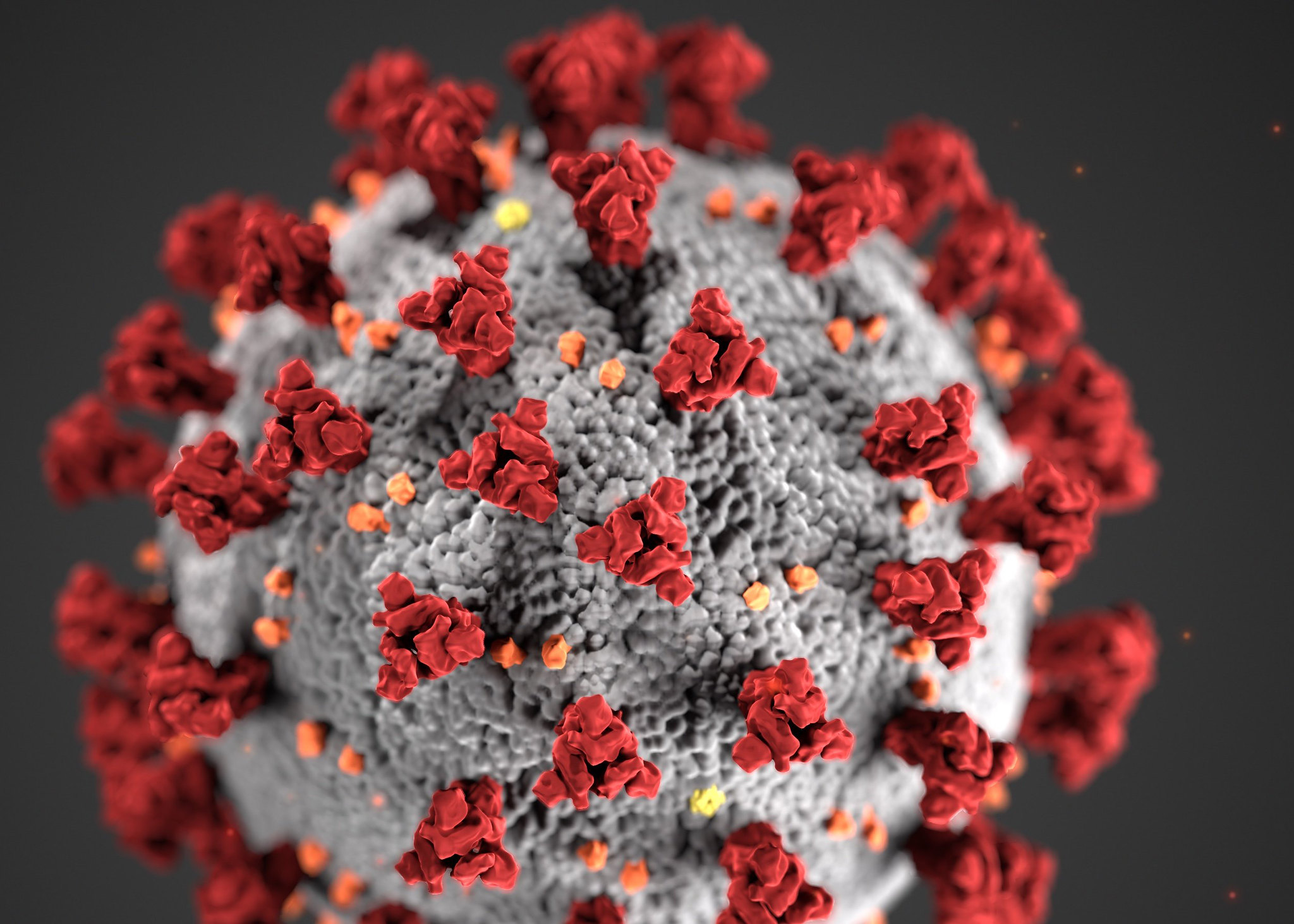 Coronavirus